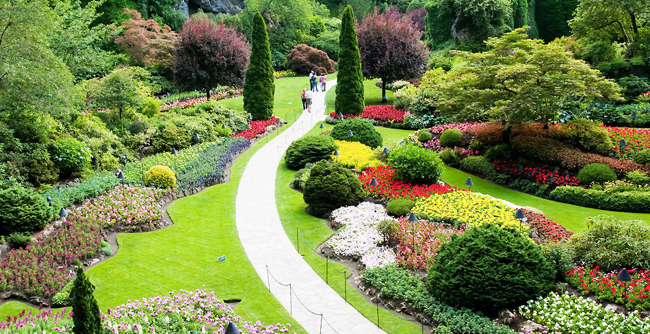 White Diamond Landscaping & Construction | 161, Windstone Link SW, Airdrie, AB T4B 3V8, Canada | Phone: (403) 874-1978