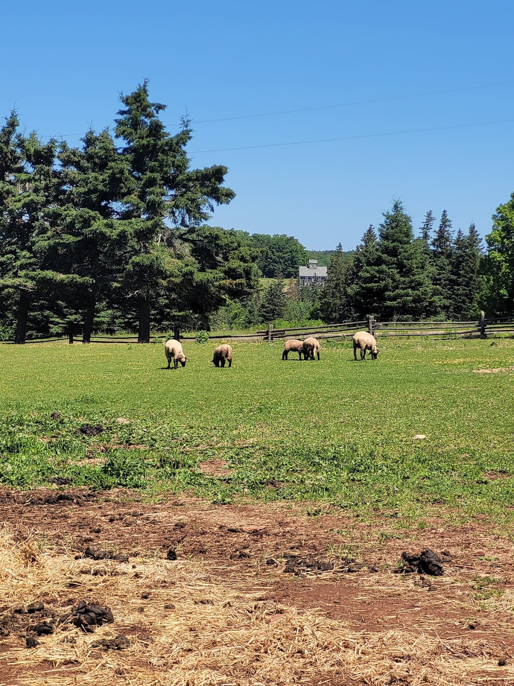 Orwell Corner Historic Village | RR 2, Vernon Bridge, PE C0A 2E0, Canada | Phone: (902) 651-8515