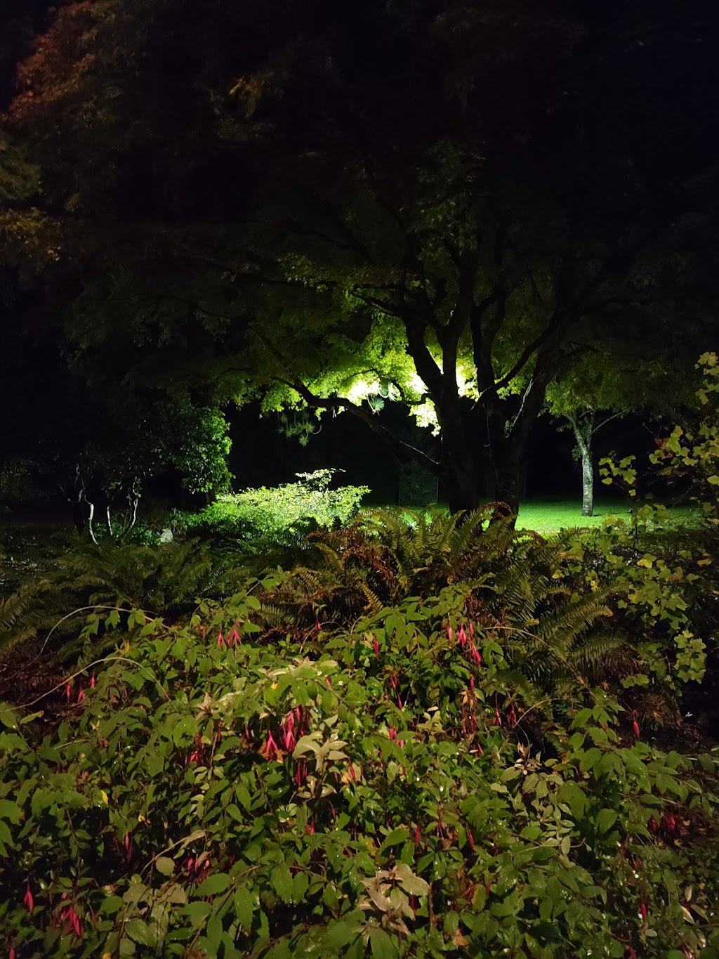 Stadacona Park | 1490 Pandora Ave, Victoria, BC V8R 6P9, Canada | Phone: (250) 361-0600