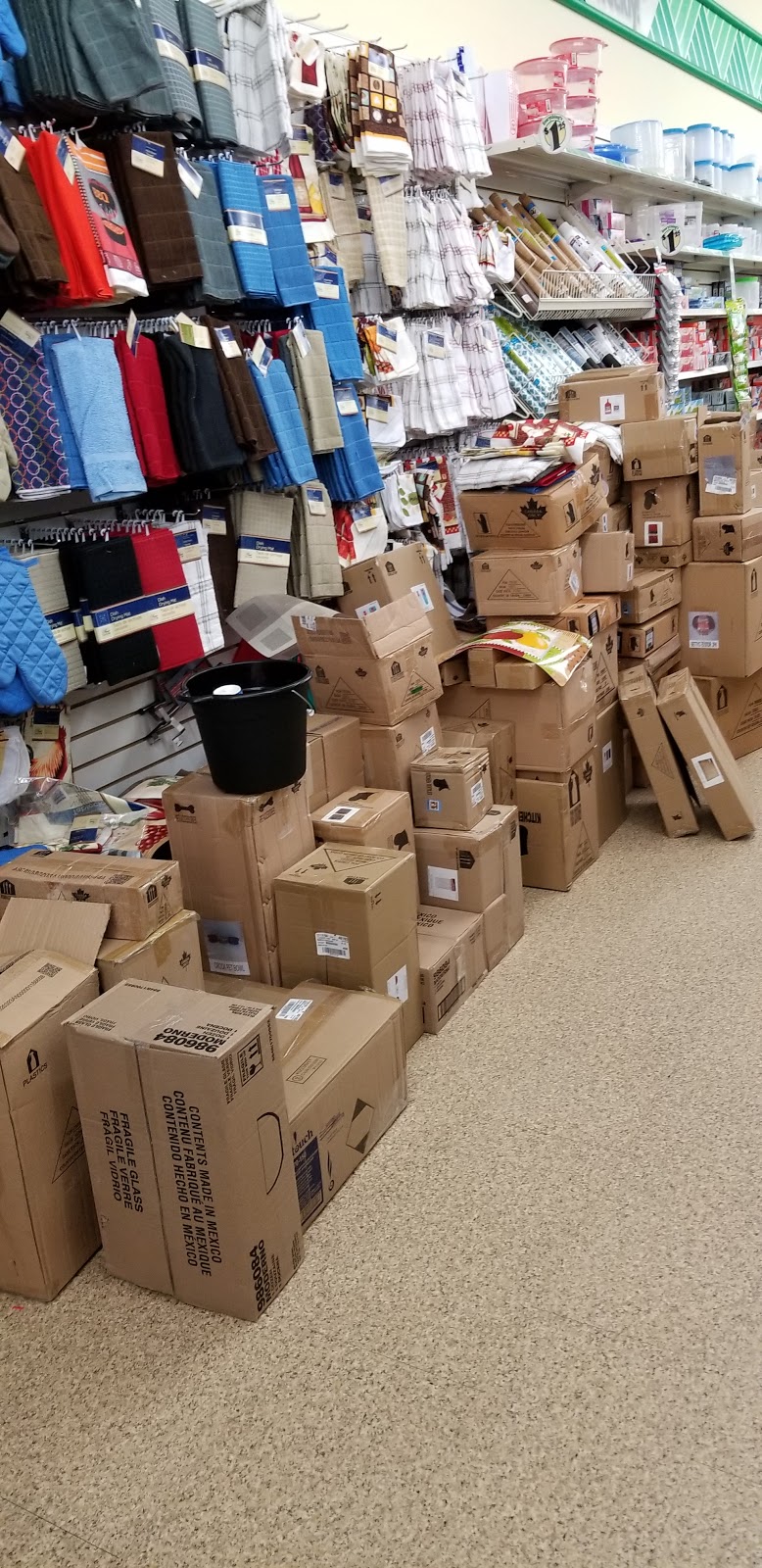 Dollar Tree | 18126 Yonge St Unit #5, East Gwillimbury, ON L9N 0J3, Canada | Phone: (905) 836-0602