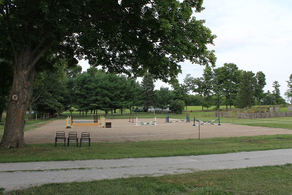 Langman Farms & Equestrian Centre | 2591 Bass Lake Side Rd E, Oro-Medonte, ON L3V 2Z2, Canada | Phone: (705) 345-9689