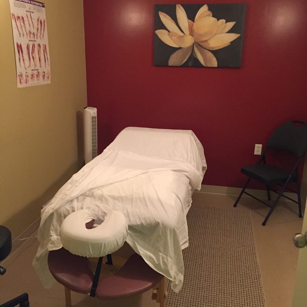 ProActive Wellness & Prevention | 382 Conception Bay Hwy, Holyrood, NL A0A 2R0, Canada | Phone: (709) 229-2843