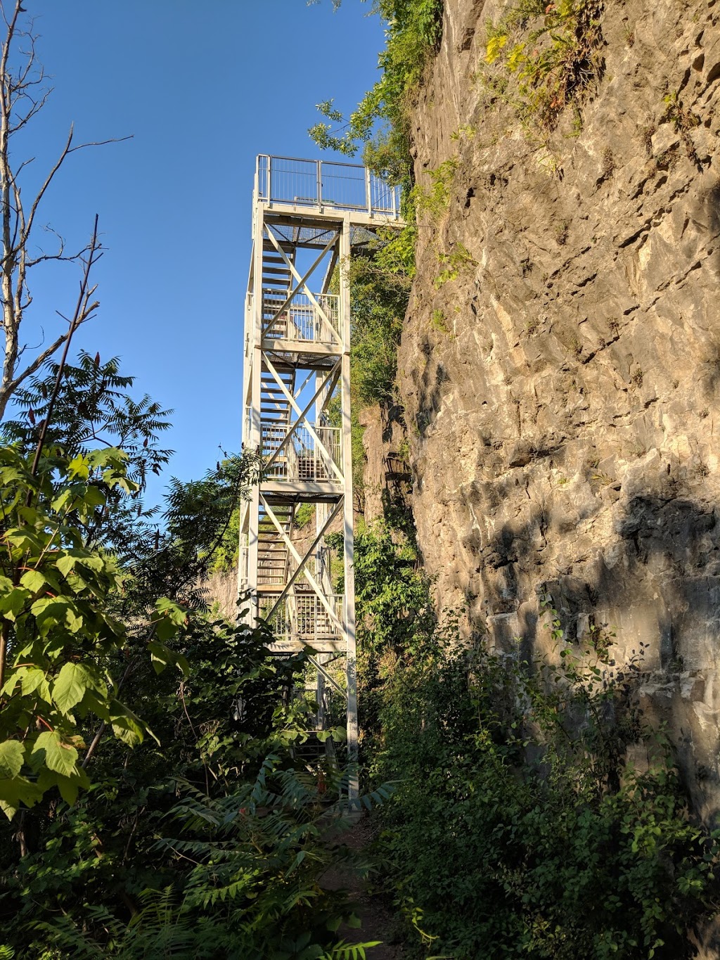 Niagara Glen Nature Centre | 3050 Niagara Pkwy, Niagara Falls, ON L2E, Canada | Phone: (905) 354-6678