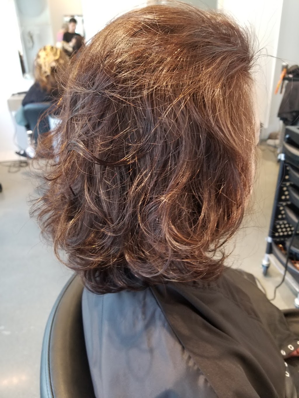 Louies Hair Design | 6351 Cambie St, Vancouver, BC V5Z 0G7, Canada | Phone: (604) 649-8457