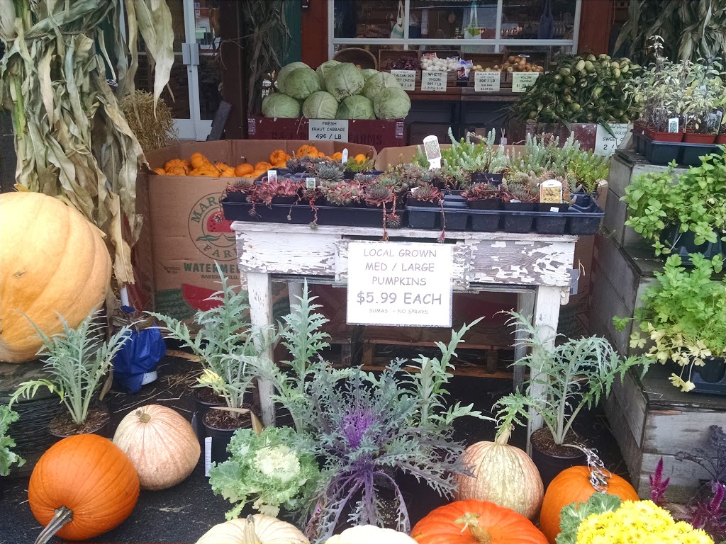 The Green Barn | 211 Birch Bay Lynden Rd, Lynden, WA 98264, USA | Phone: (360) 318-8869