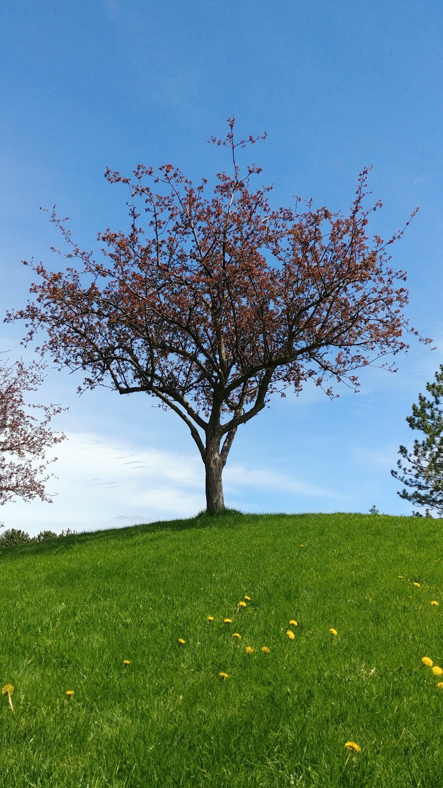 John Arnold House | 21 Spring Gate Blvd, Thornhill, ON L4J 3C9, Canada | Phone: (905) 832-2281