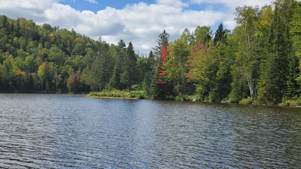 Les Chalets du Pic - Le Petit Pic | 327 Rang du, Rang Pic-Dur, Sainte-Béatrix, QC J0K 1Y0, Canada | Phone: (514) 941-8822