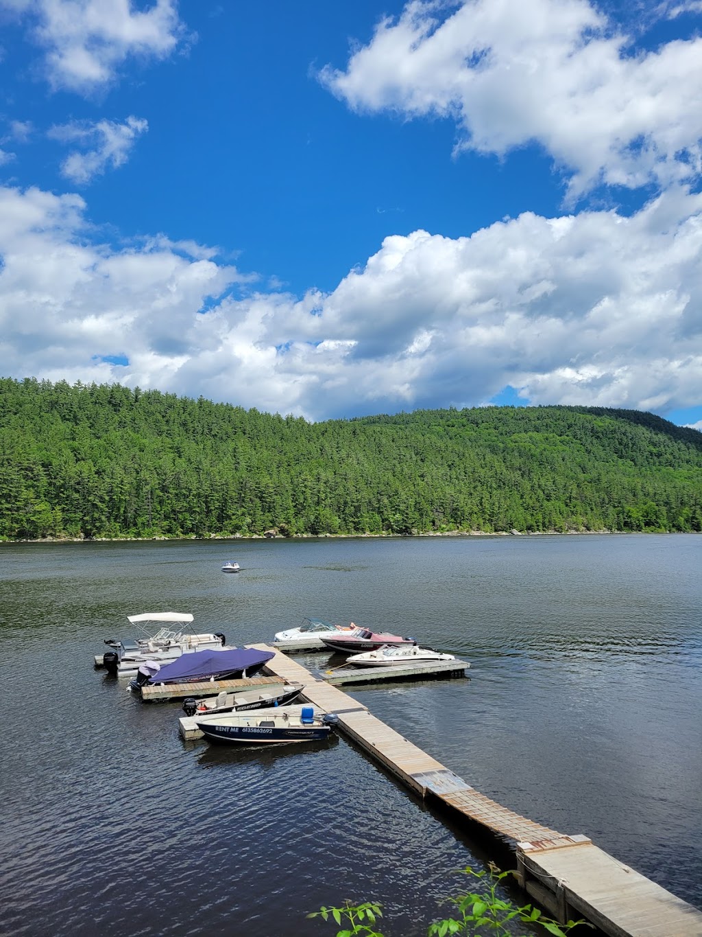 Algonquin Canoe Company - Swisha | 228 Rue Principale, Rapides-des-Joachims, QC J0X 3M0, Canada | Phone: (613) 586-2655