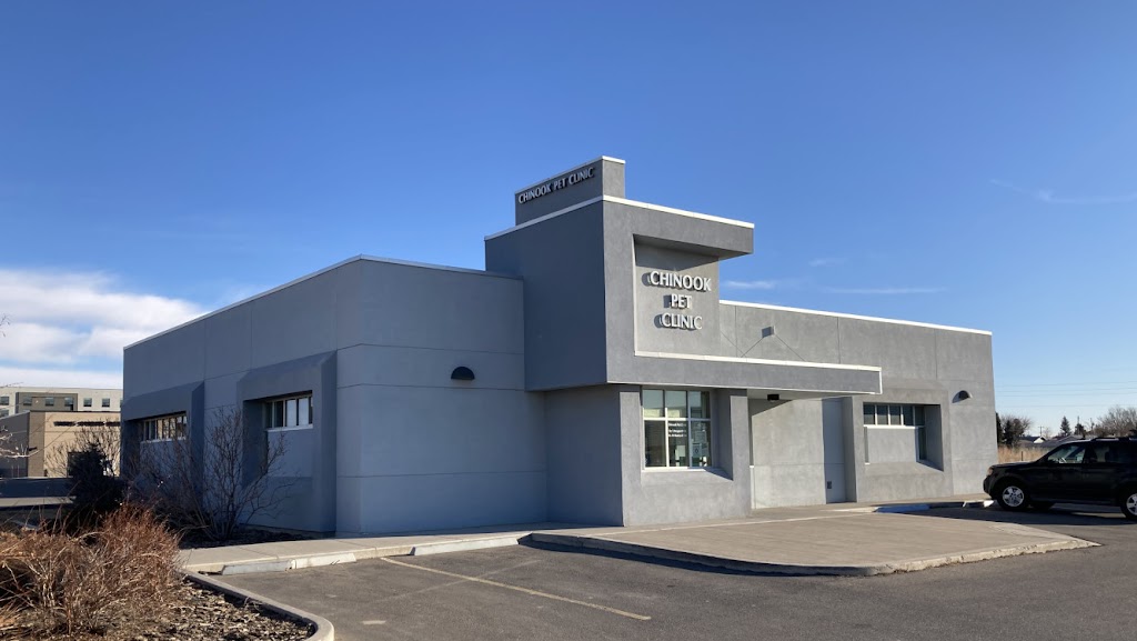 Chinook Pet Clinic | 487 41 St S, Lethbridge, AB T1J 5C8, Canada | Phone: (403) 327-2344