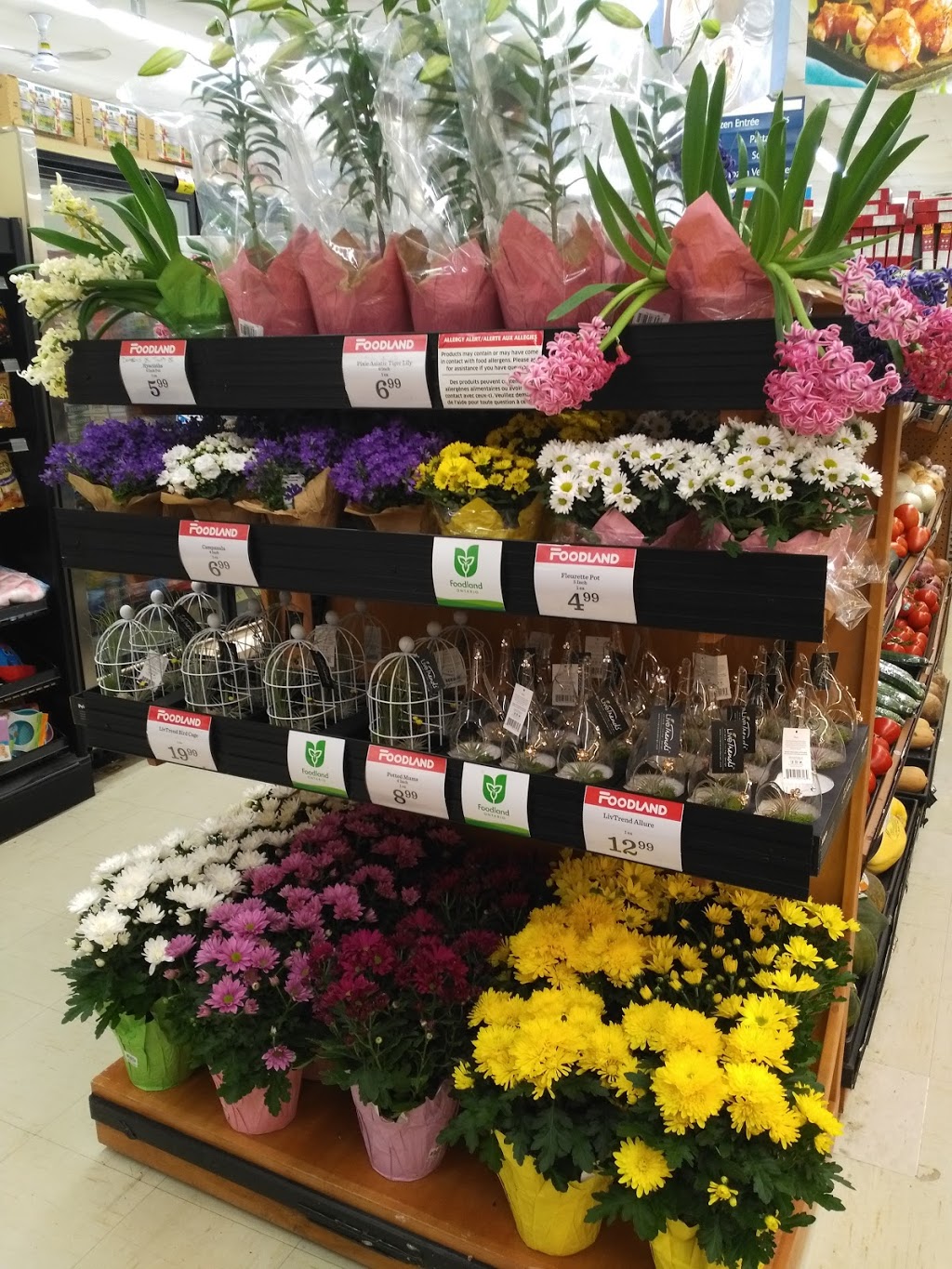 Foodland - West Lorne | 170 Main St, West Lorne, ON N0L 2P0, Canada | Phone: (519) 768-1750