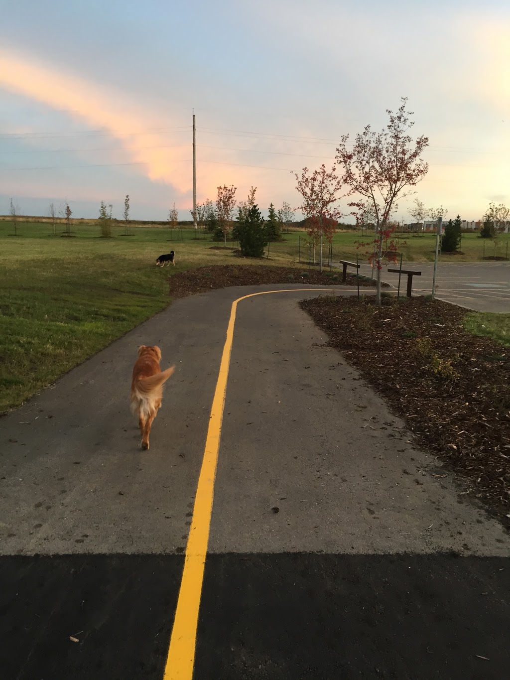 Sally Stewart Park | Buckingham Business Park, Sherwood Park, AB T8H 2C5, Canada