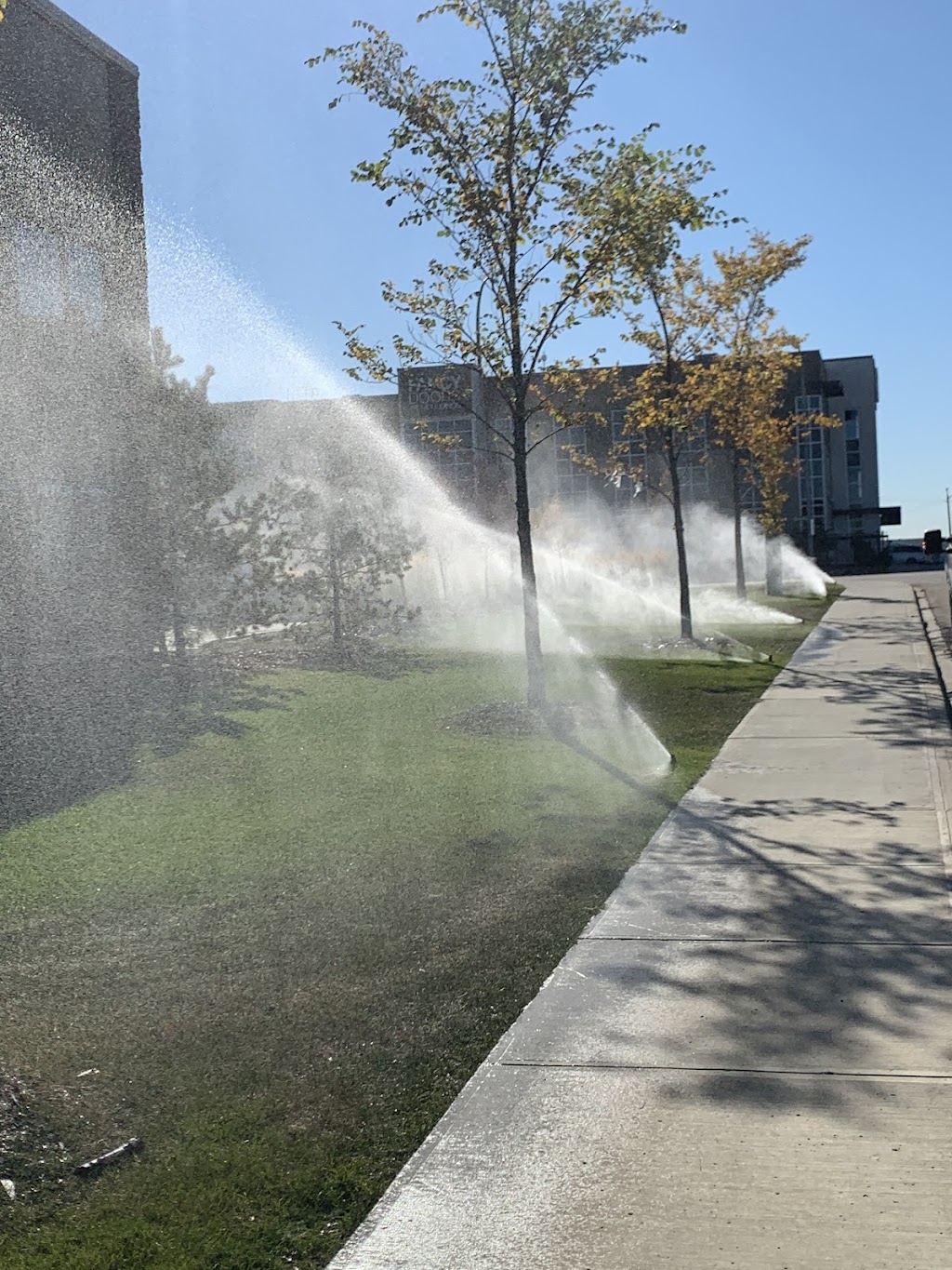 Turf Irrigation | 144 Windermere Crescent NW, Edmonton, AB T6W 0S3, Canada | Phone: (780) 717-4169