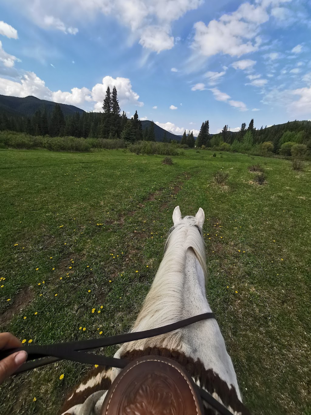 Ram River Tours - Ram Rides | AB-734, Nordegg, AB T0M 2H0, Canada | Phone: (403) 844-0408