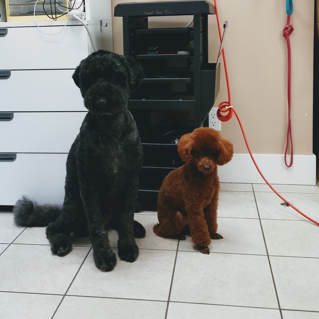 Sweet Paws Dog Grooming Services | Canada, British Columbia, Richmond, Bayview St, Suite 105 | Phone: (604) 285-7425