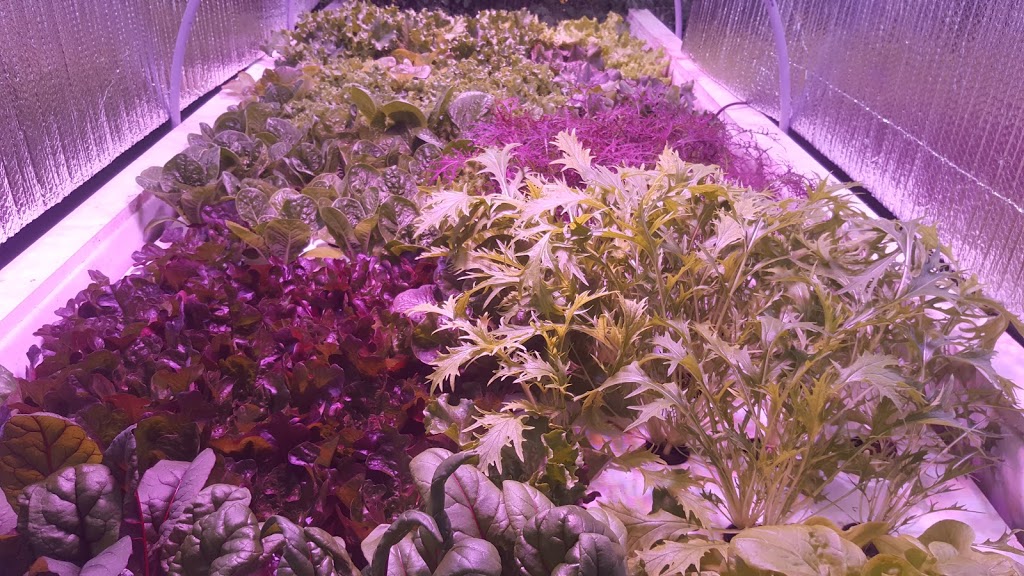 Aquatic Growers | 1330A Southwood Rd, Severn Bridge, ON P0E 1N0, Canada | Phone: (705) 238-6728