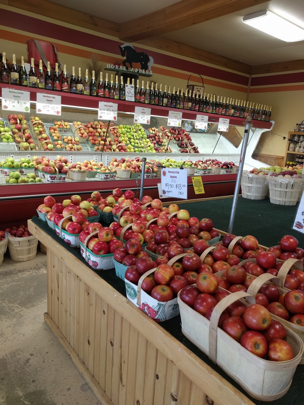 Martins Family Fruit Farm | store | 1420 Lobsinger Line, Waterloo, ON N2J 4G8, Canada | 5196642750 OR +1 519-664-2750