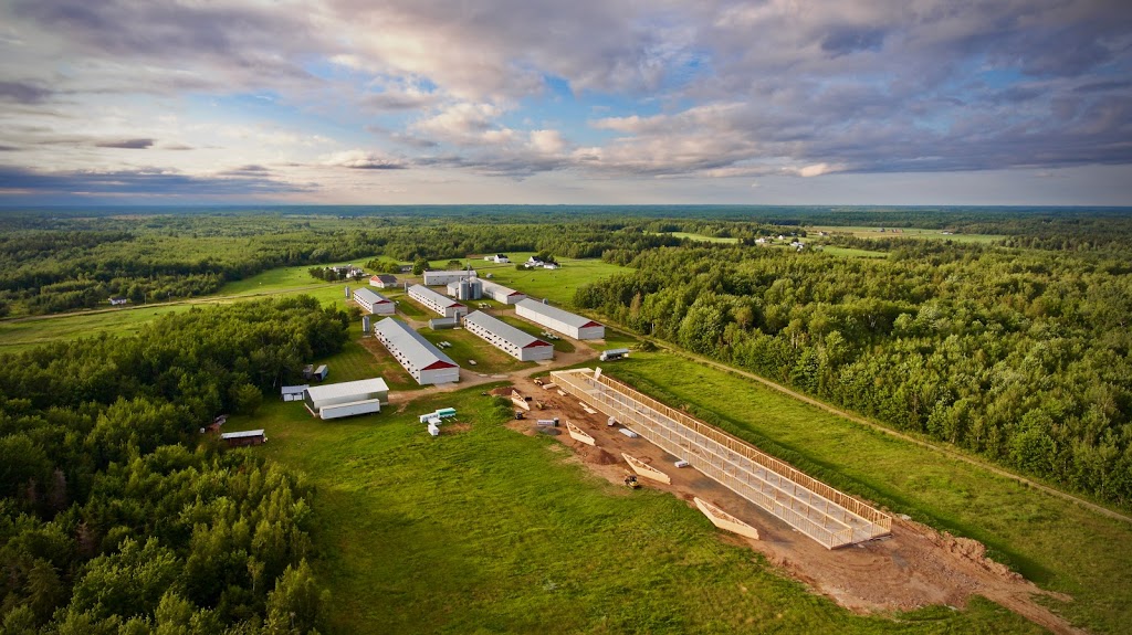 Eric Griffin Agri. Equip. Ltd. | 140 Canaan Cross Rd, North Alton, NS B4N 3V8, Canada | Phone: (902) 679-1910