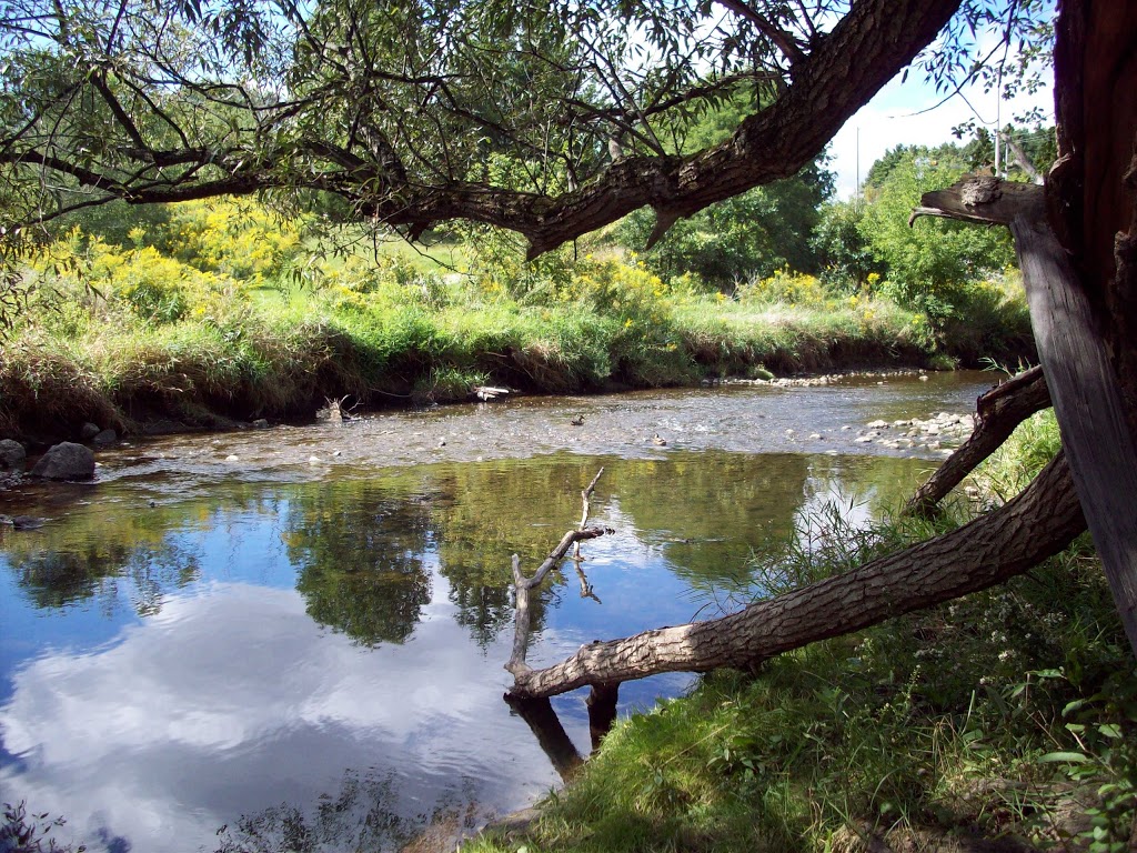 Marguerite Ormston Trailway on the Walter Bean Grand River Trail | 2200 Homer Watson Blvd, Kitchener, ON N2P 1A5, Canada | Phone: (519) 741-2345
