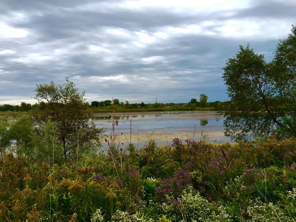 Wetzel State Recreation Area | 27 Mile Rd, New Haven, MI 48048, USA | Phone: (810) 765-5605