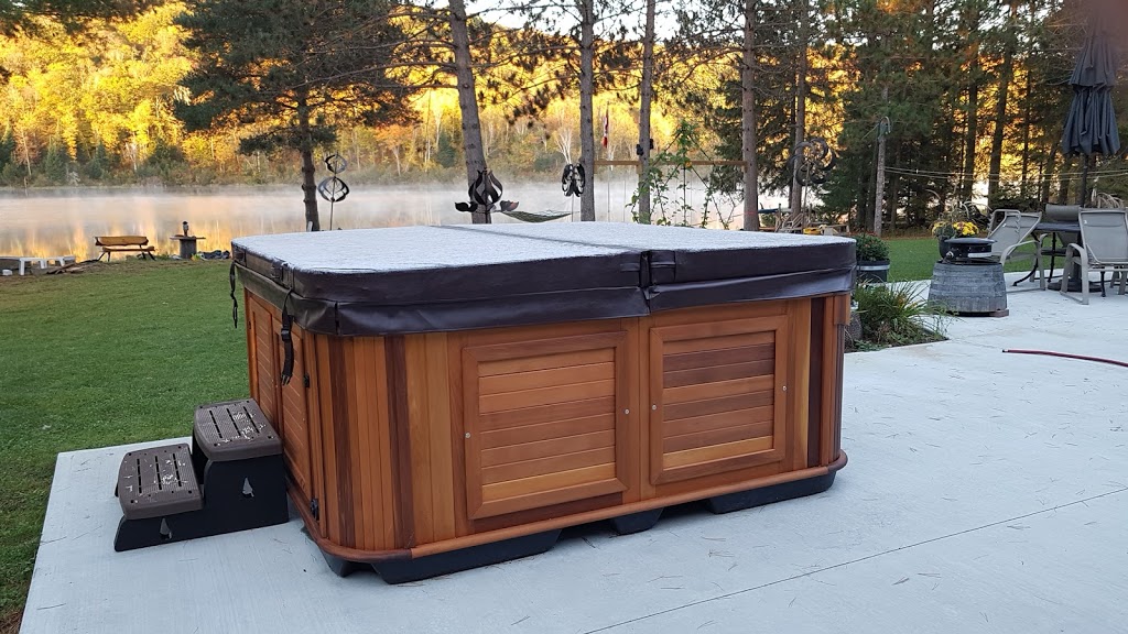 Arctic Spas London | 1112 Dearness Dr #16, London, ON N6E 1N9, Canada | Phone: (226) 919-8220