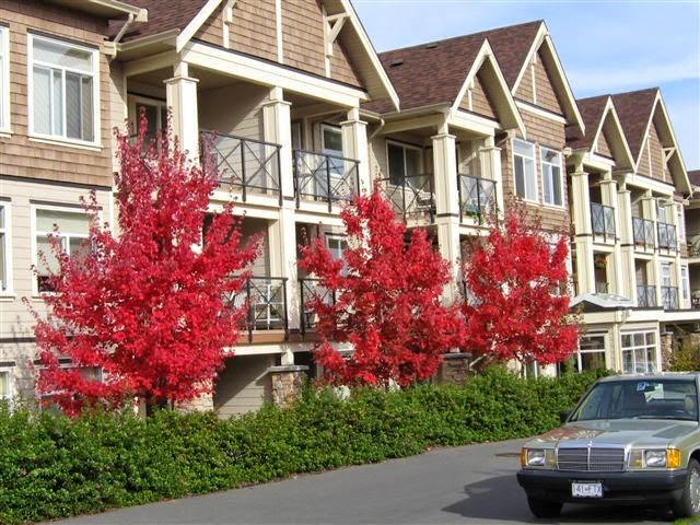 Legion Manor Retirement Living | 7601 E Saanich Rd, Saanichton, BC V8M 0A4, Canada | Phone: (250) 652-3261