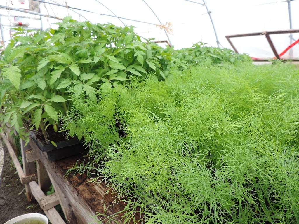 Coop les Jardins de la Résistance | 1150 Rang des Botreaux, Ormstown, QC J0S 1K0, Canada | Phone: (450) 370-6782