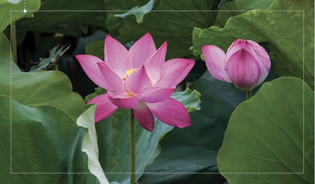 Studio-be yoga | 3361 W 3rd Ave, Vancouver, BC V6R 1L3, Canada | Phone: (604) 736-1428