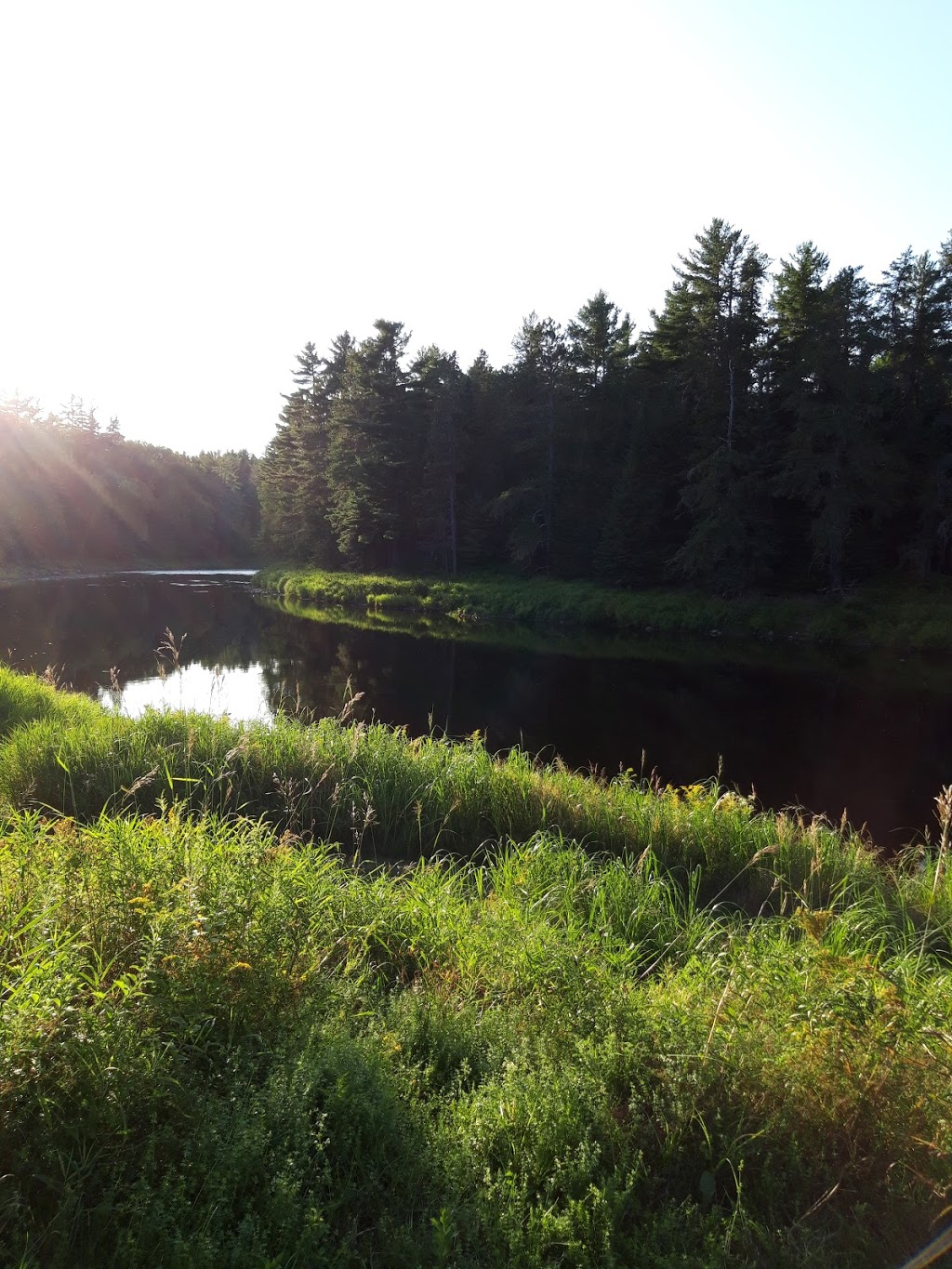Country Haven Lodge | 601 Route #118, Gray Rapids, NB E9B 1G9, Canada | Phone: (506) 843-9010