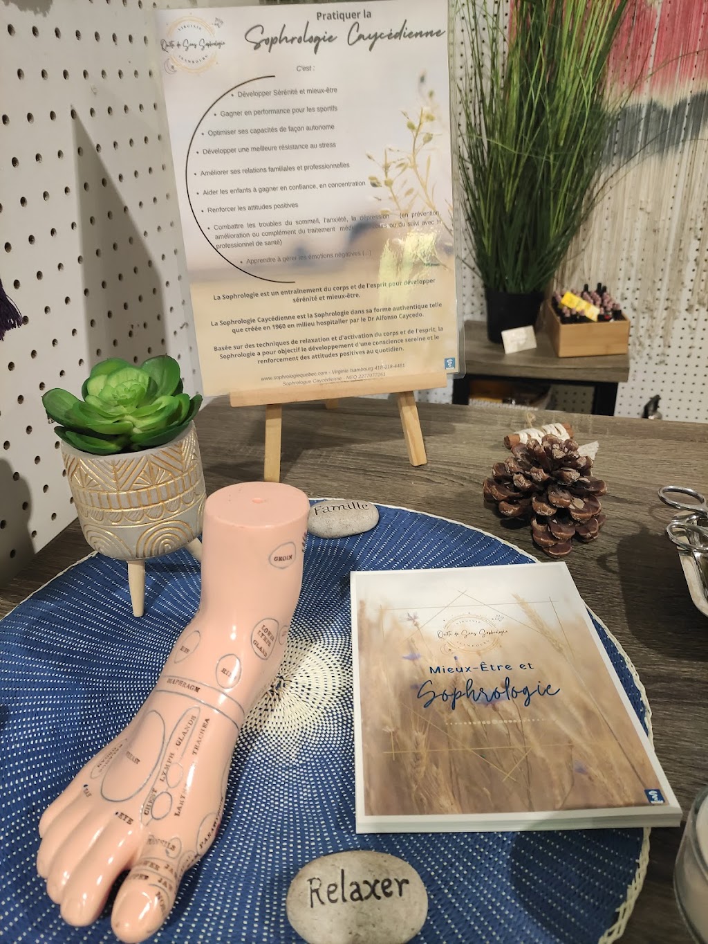 Virginie Isambourg - Quête de Sens Sophrologie - Albanel | 284 Rue de lÉglise, Albanel, QC G8M 3G1, Canada | Phone: (418) 618-4481