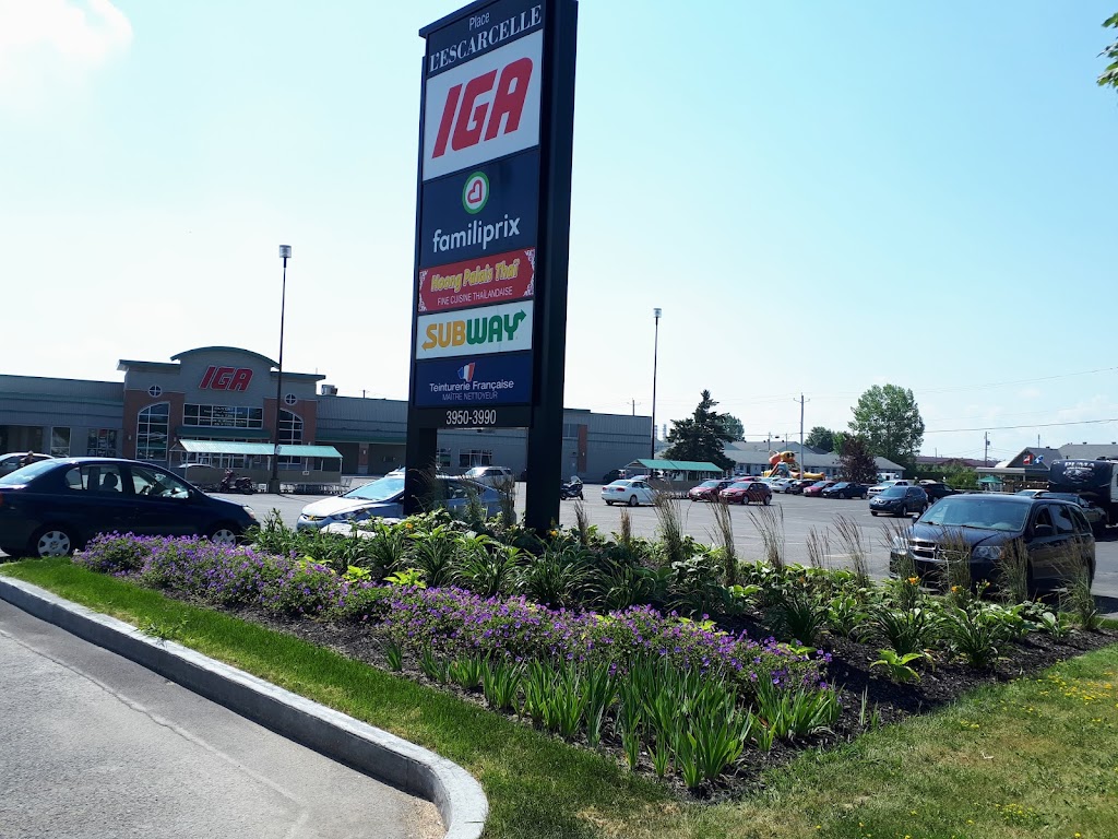 Maritza Roy Horticultrice | 738 Rte de St Vallier, Saint-Vallier, QC G0R 4J0, Canada | Phone: (418) 998-2117