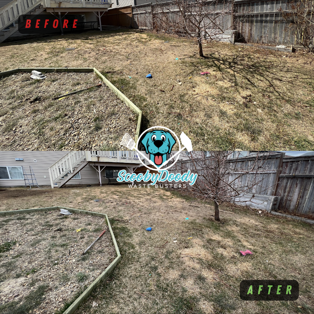 ScoobyDoody Waste Busters | 916 Cassils Rd W, Brooks, AB T1R 0E3, Canada | Phone: (403) 502-1523