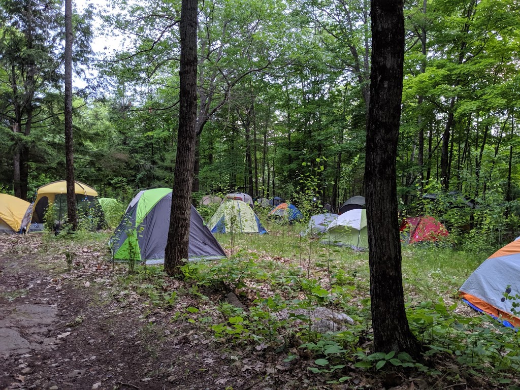 Paradise Leisure Park | 17 Chemin Wilson, Campbells Bay, QC J0X 1K0, Canada | Phone: (819) 647-8356