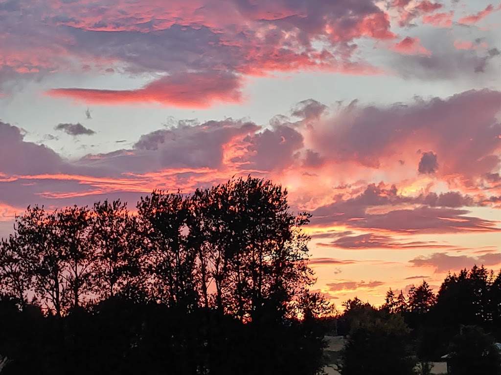 Westside Stables | 6404 Central Saanich Rd, Saanichton, BC V8M 1Z4, Canada | Phone: (250) 544-0050