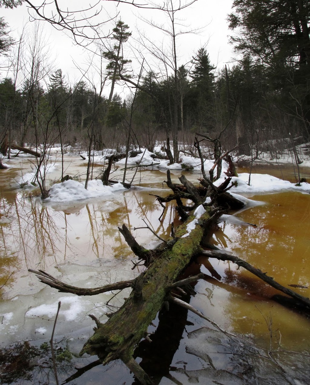 The Gulf Unique Area | Mooers Forks, NY 12959, USA