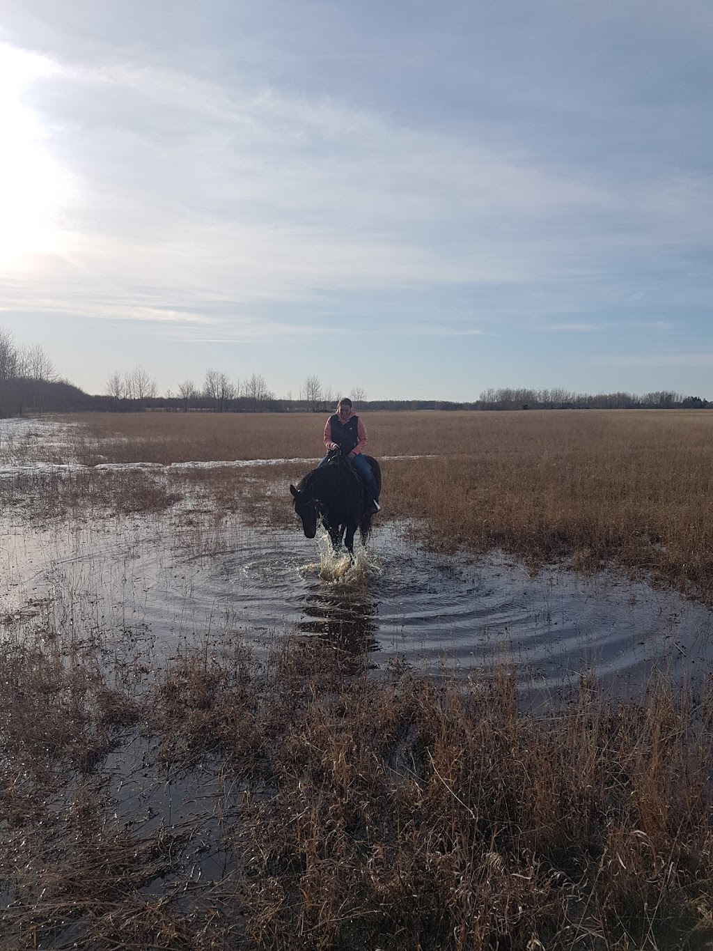 Pine Rock Stables Inc | Anderson Way, Lac du Bonnet, MB R0E 1A0, Canada | Phone: (204) 481-7774
