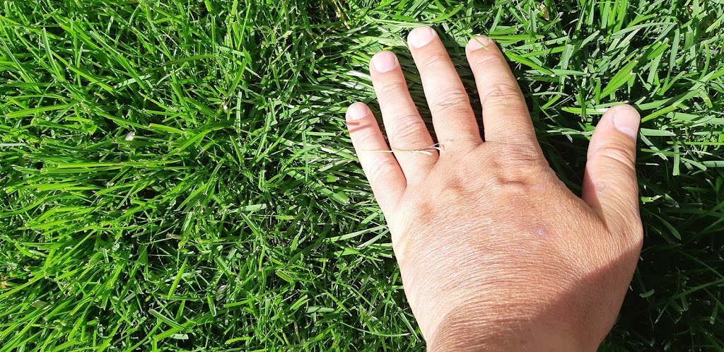 Turf Boss | 1 Yvette St, Oakbank, MB R0E 1J1, Canada | Phone: (204) 805-0787