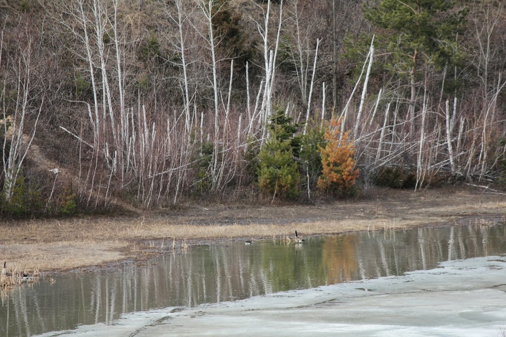Bruce Pit | 175 Cedarview Rd, Nepean, ON K2H 6A5, Canada | Phone: (613) 219-1178