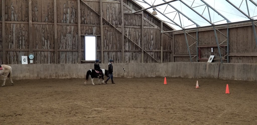 Conestogo River Horseback Adventures | 535 Northfield Dr E, Waterloo, ON N2J 4G8, Canada | Phone: (519) 888-6503