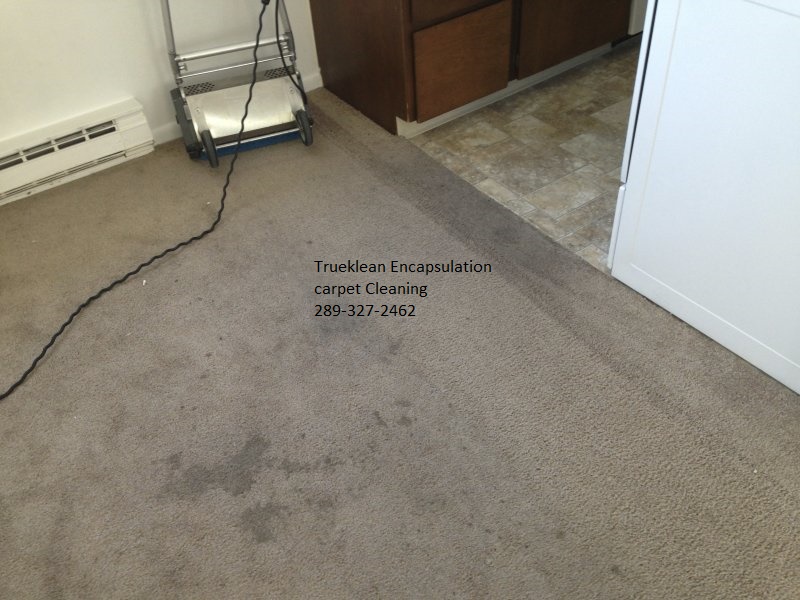 TrueKlean | 6496 Skipper Way, Mississauga, ON L5W 1P6, Canada | Phone: (289) 327-2462