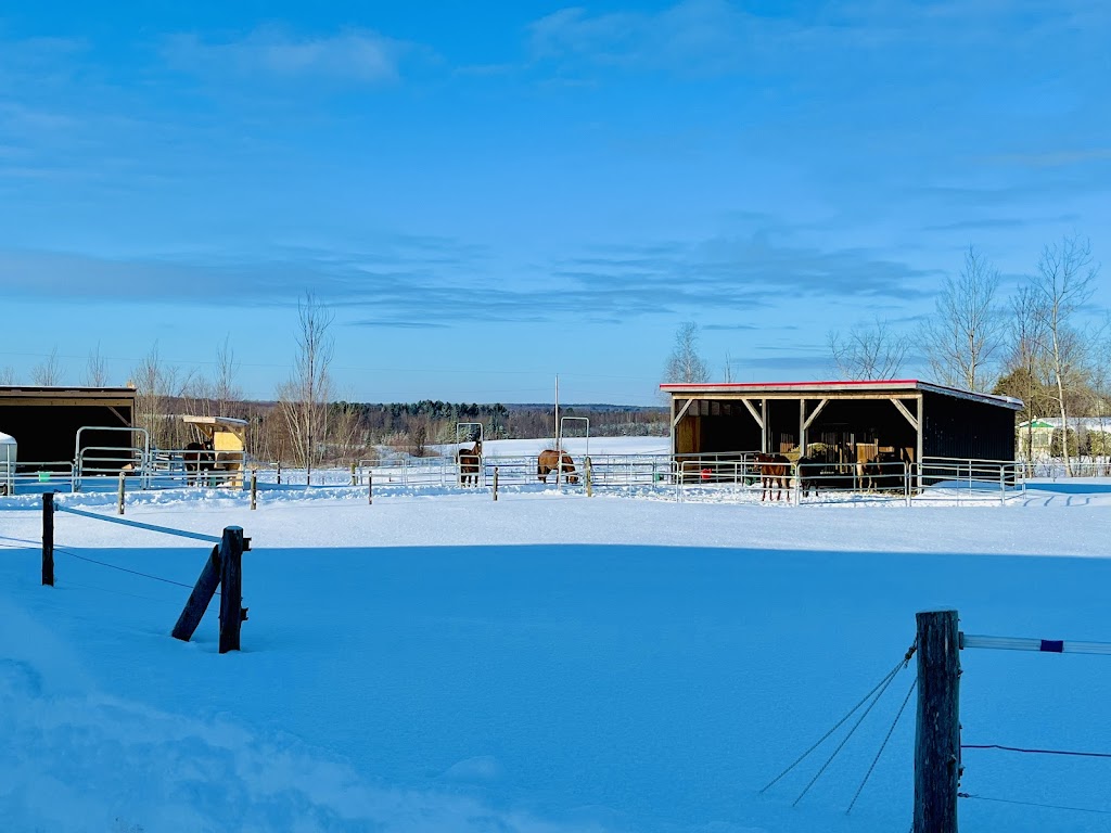 Les Écuries RJ - 1016 Rang 8 E, L'Avenir, QC J0C 1B0, Canada