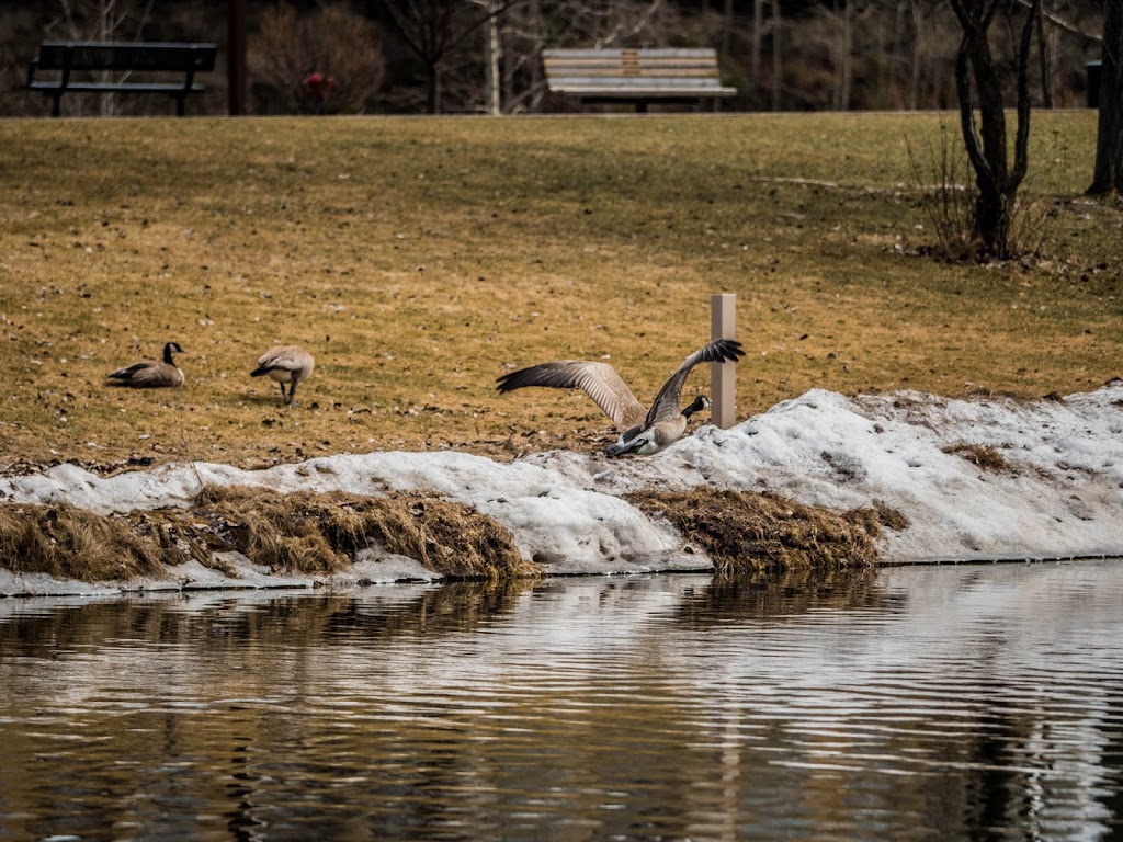 Bower Ponds Recreation | 4715 Fountain Dr, Red Deer, AB T4N 6W4, Canada | Phone: (403) 318-6298