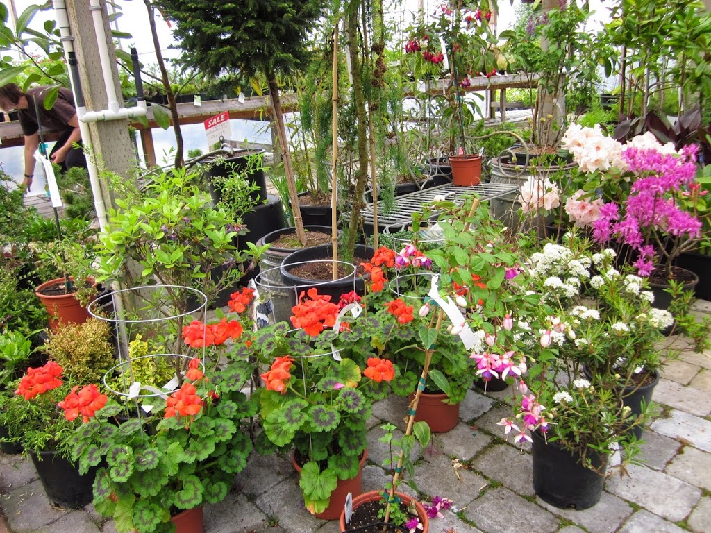 Tri-Star Nurseries & Landscape Supplies Ltd. | 5047 184 St, Surrey, BC V3X 1B5, Canada | Phone: (604) 576-6732