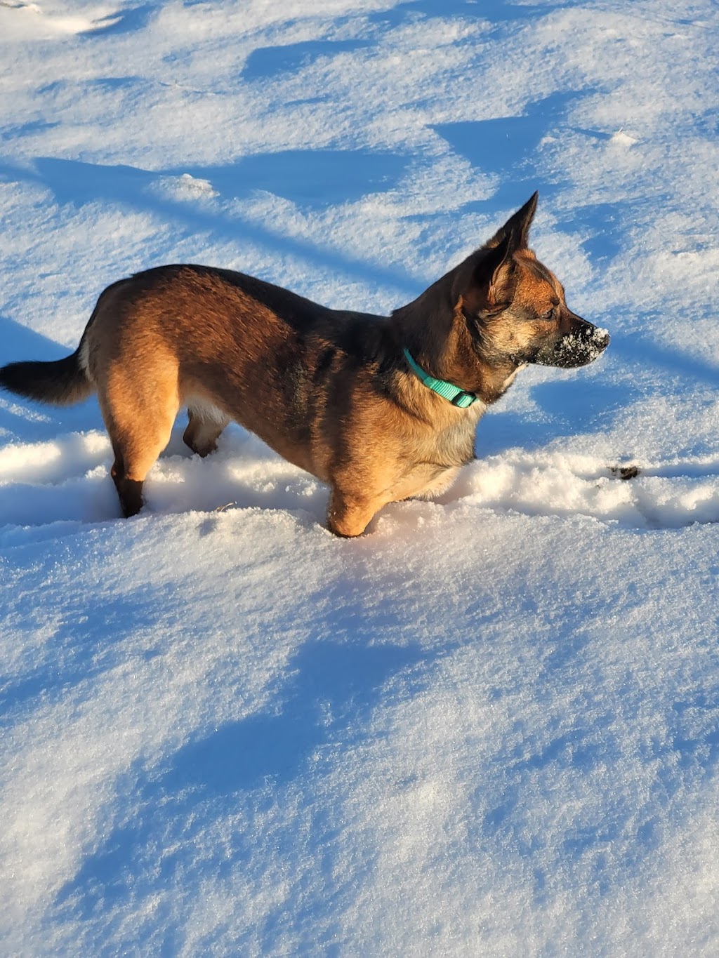 Muddy Paws Adventures, Nova Scotia | 820 McKay Rd, McKay Section, NS B0N 2A0, Canada | Phone: (902) 440-4872