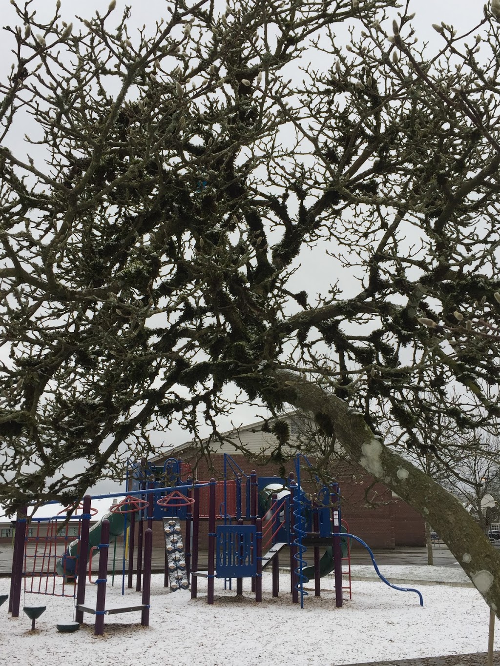 Blakeburn Park | 1010 Riverside Dr, Port Coquitlam, BC V3B 7Y4, Canada
