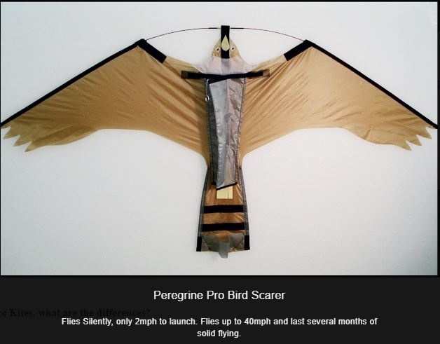 Hawk Kite Sales | 9800 Giants Head Rd, Summerland, BC V0H 1Z7, Canada | Phone: (250) 404-0318