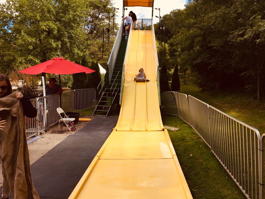 Animal Hill, Springbank Park | Byron, London, ON N6K 4Y6, Canada
