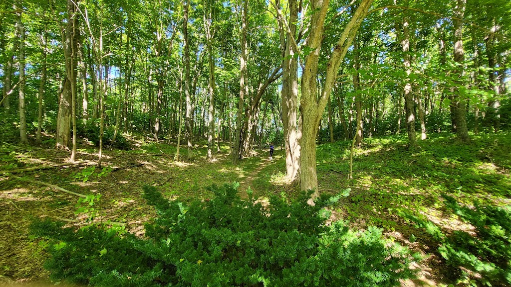 Cavendish Grove, Prince Edward Island National Park | 8780 PE-6, Cavendish, PE C0A 1M0, Canada | Phone: (902) 672-6350