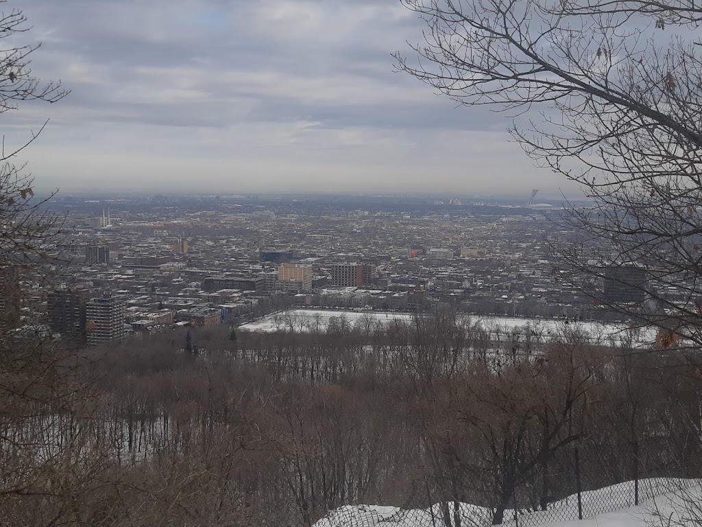 Terrain 275 | 1576 Voie Camillien-Houde, Montréal, QC H2W 1S8, Canada | Phone: (514) 868-3737