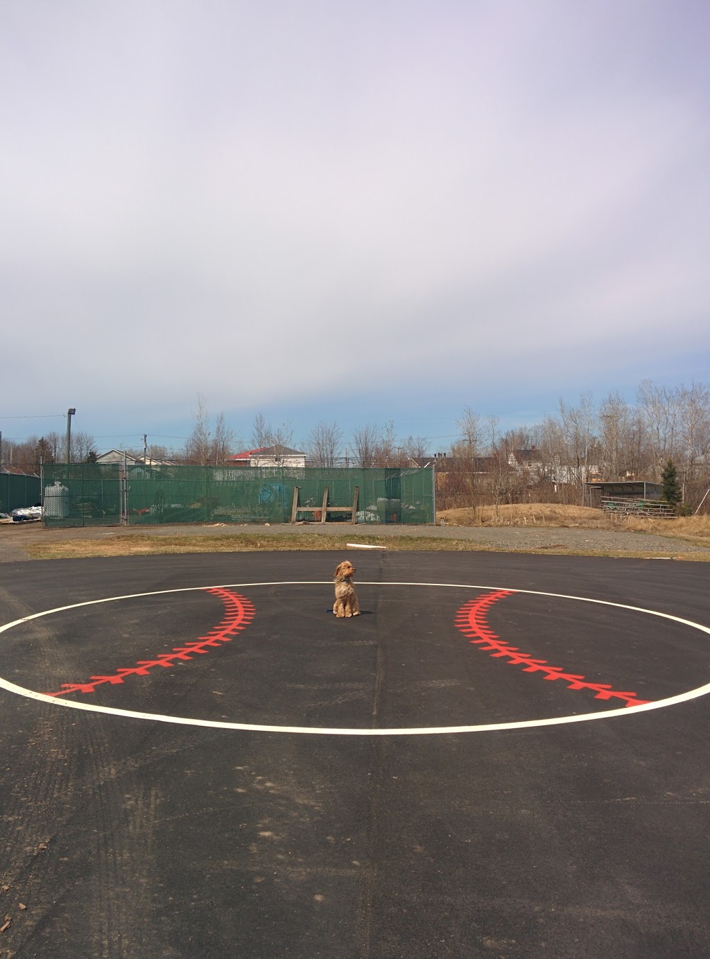Superior Propane Centre | 55 Russ Howard Dr, Moncton, NB E1C 0L7, Canada | Phone: (506) 384-4423