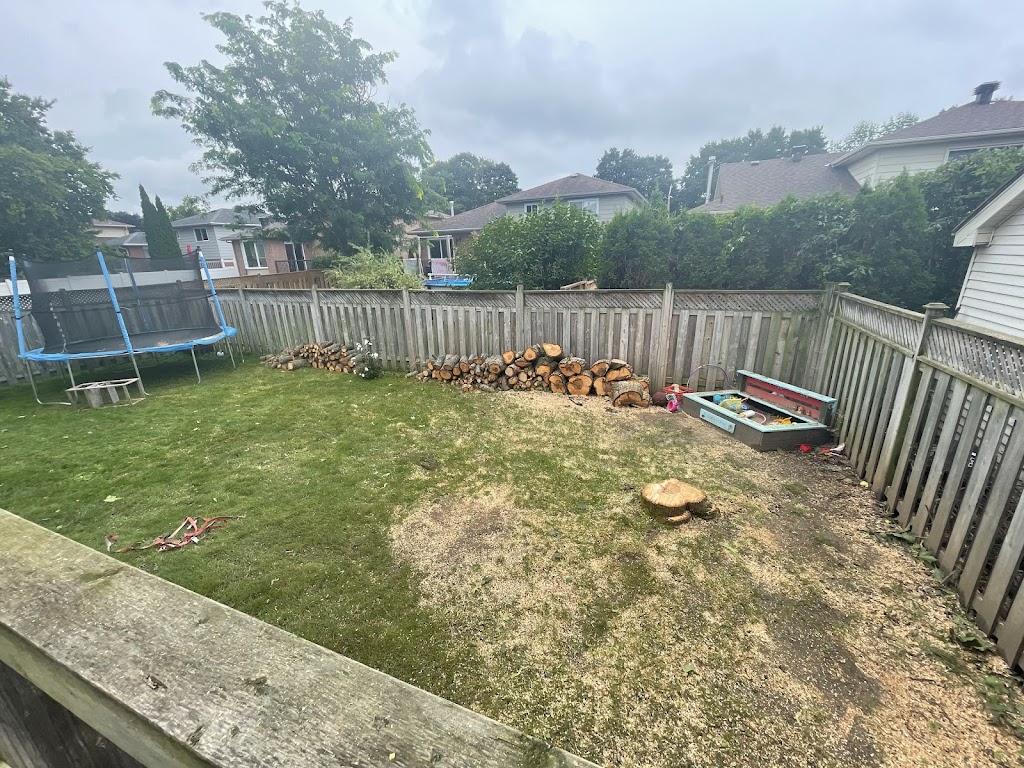 Apex Tree Surgeons - Tree Services Orillia | 4 Cheslock Cres, Orillia, ON L0K 2G0, Canada | Phone: (705) 955-7424